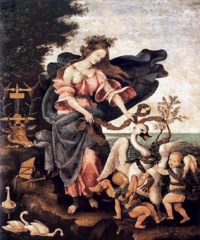 LIPPI, Filippino Allegory of Music or Erato sg oil painting image